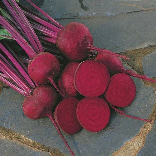 Red Ace Hybrid Beet Seeds - Image 2