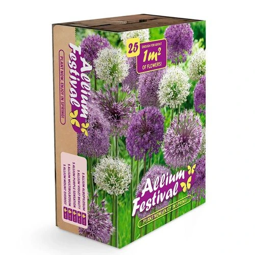 Ornamental Onion Bulbs Festival Box Set - Image 2