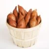 Vineless Puerto Rico Sweet Potato Slips