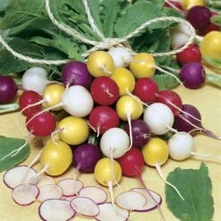 Park Seed Beauty Blend Radish Seeds