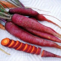 Dragon Purple Heirloom Carrot Seeds