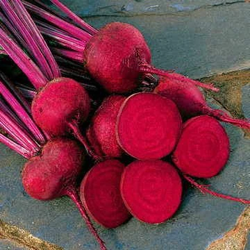 Red Ace Hybrid Beet Seeds - Image 3